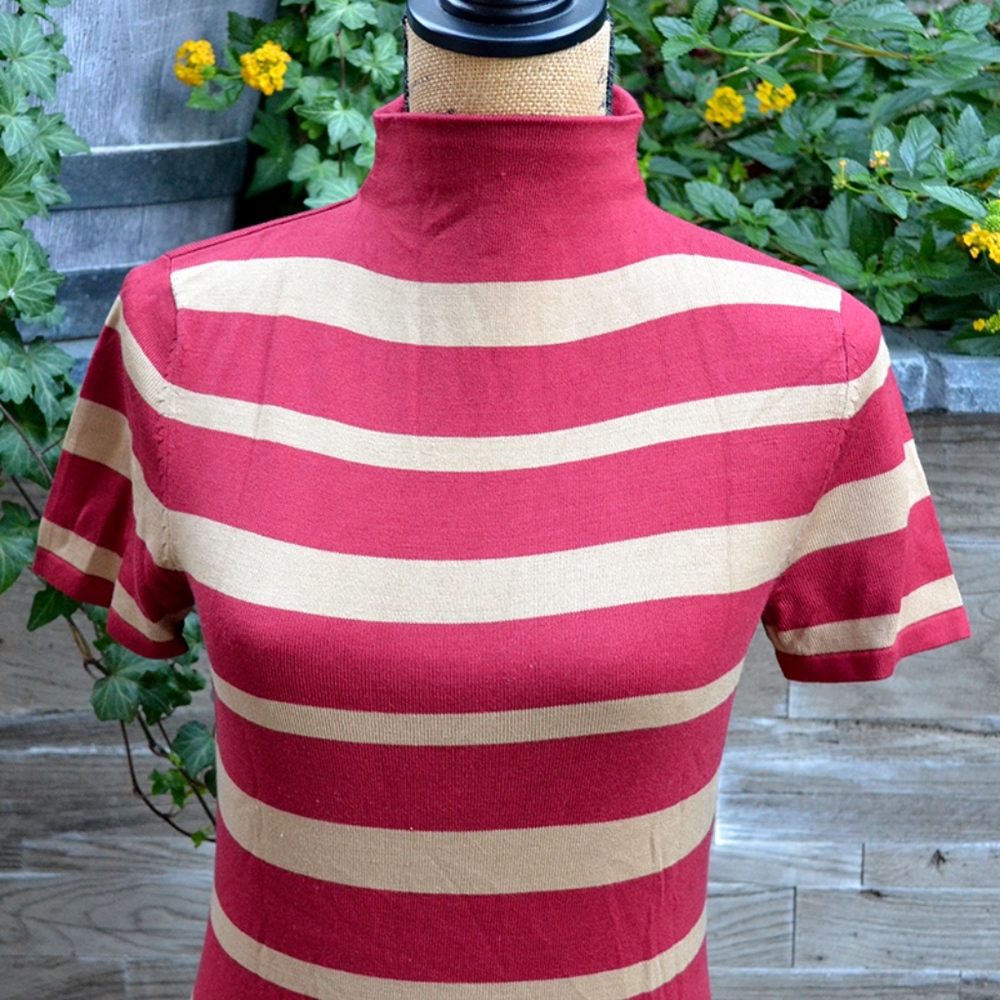 The Limited Silk Stripe Turtleneck - Picture 2 of 7